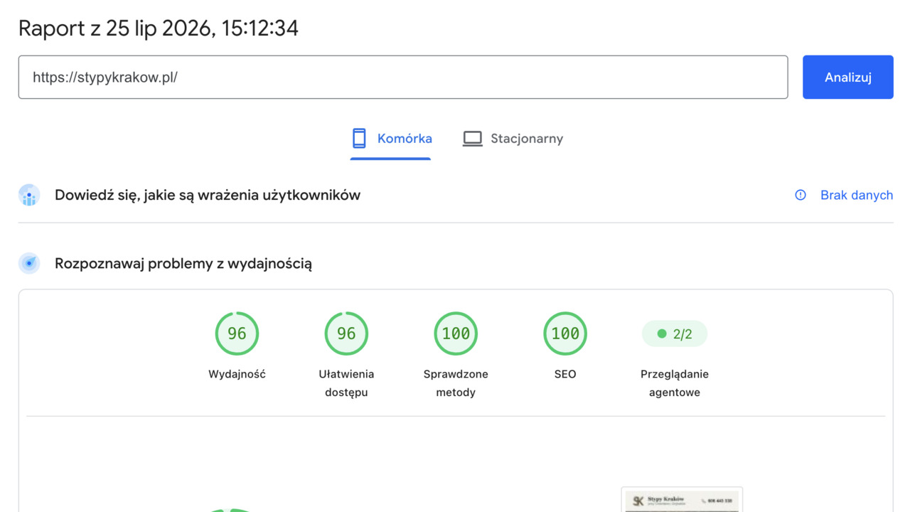Strona stypykrakow.pl po przebudowie — PageSpeed mobile 96 i SEO 100
